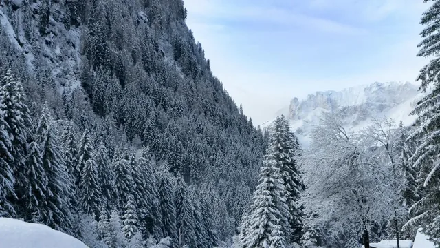 Skiferie i Moena